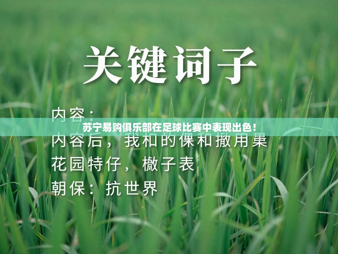 苏宁易购俱乐部在足球比赛中表现出色！